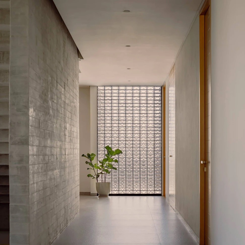Minimalist hallway with indoor plant and natural light from glass-block wall